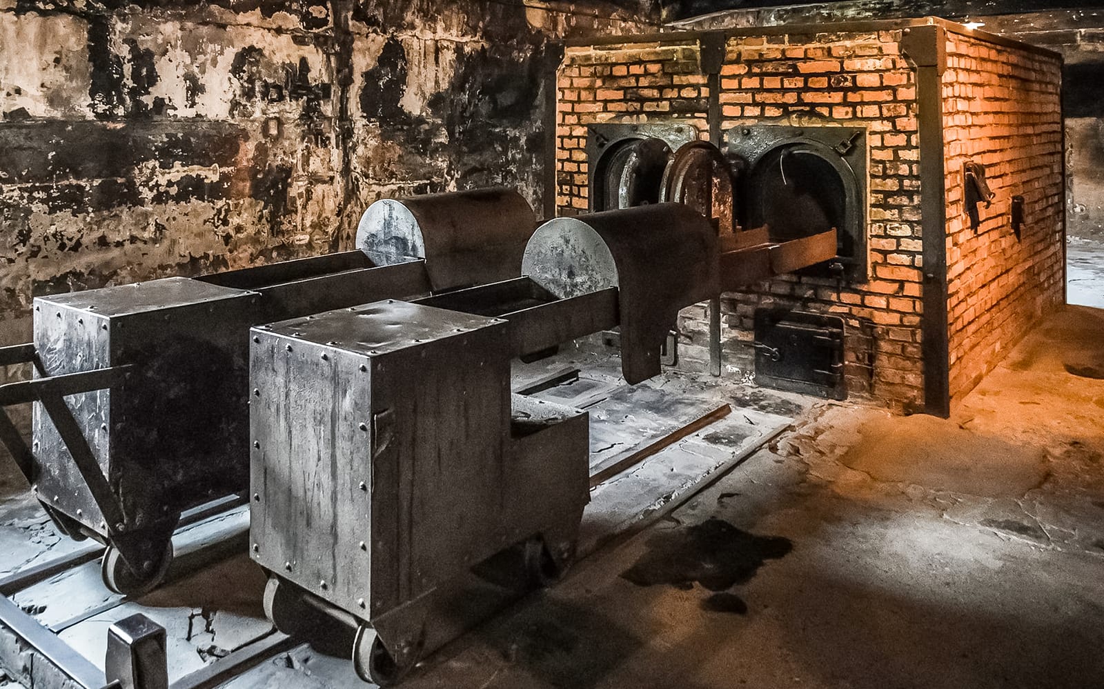 From Warsaw: Auschwitz-Birkenau Tour with Premium Train Transportation tickets in Warsaw - Features | TickYourList