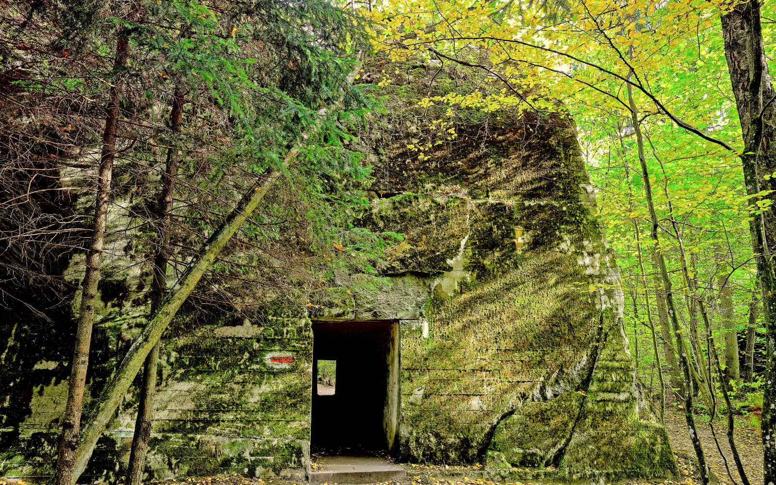 Small Group Tour of Wolf's Lair & Swieta Lipka with Lunch & Hotel Transfers tickets in Warsaw - Attractions | TickYourList