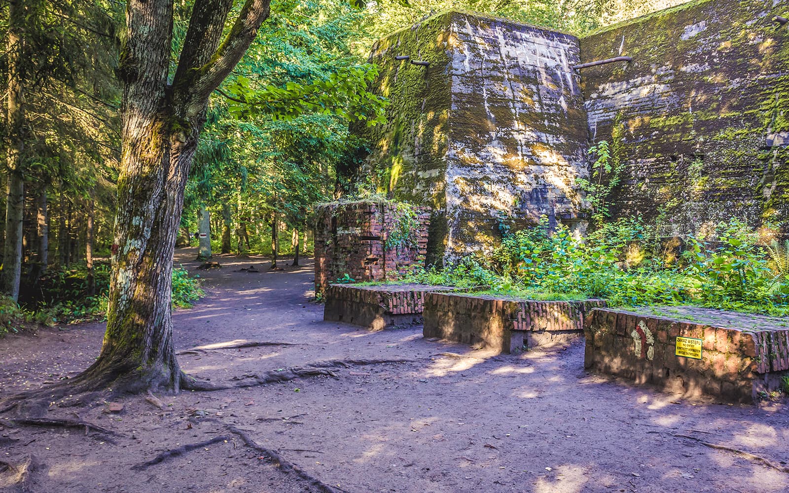 Small Group Tour of Wolf's Lair & Swieta Lipka with Lunch & Hotel Transfers tickets in Warsaw - Activities | TickYourList