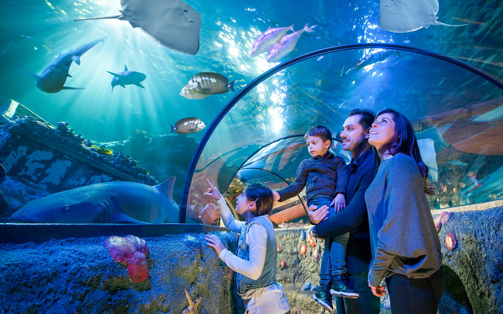 Gardaland Sea Life Aquarium Entry Tickets