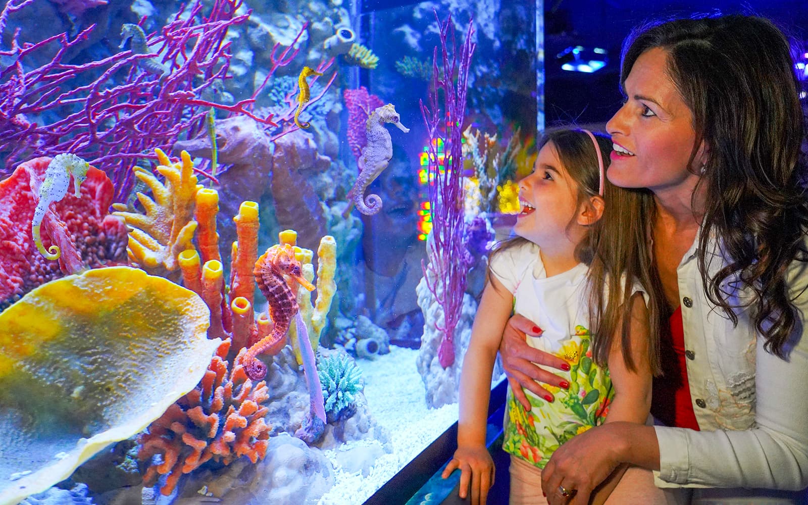 Gardaland Sea Life Aquarium Entry Tickets in Verona - Attractions | TickYourList