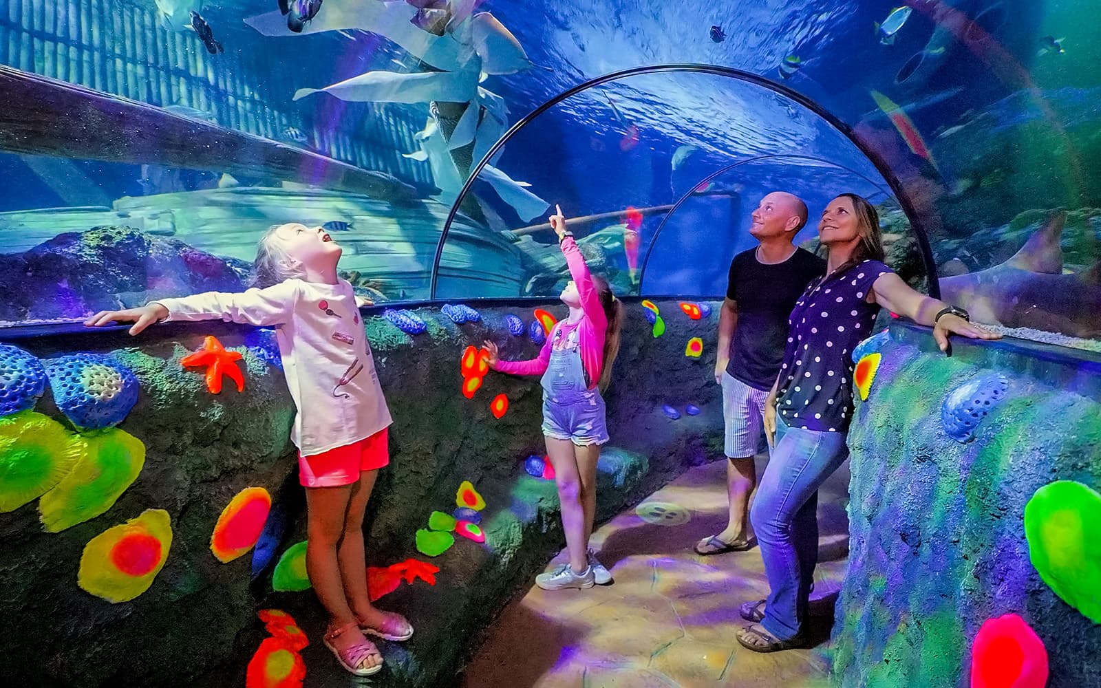 Gardaland Sea Life Aquarium Entry Tickets in Verona - Highlights | TickYourList