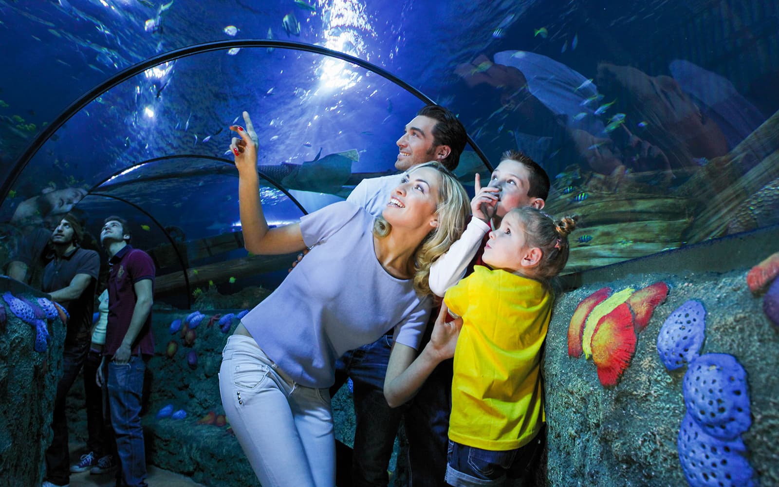 Gardaland Sea Life Aquarium Entry Tickets in Verona - Features | TickYourList