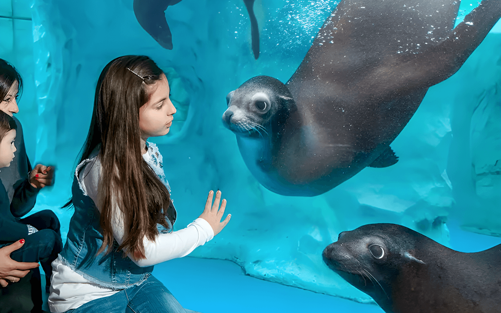 Gardaland Park Tickets in Verona - Highlights | TickYourList
