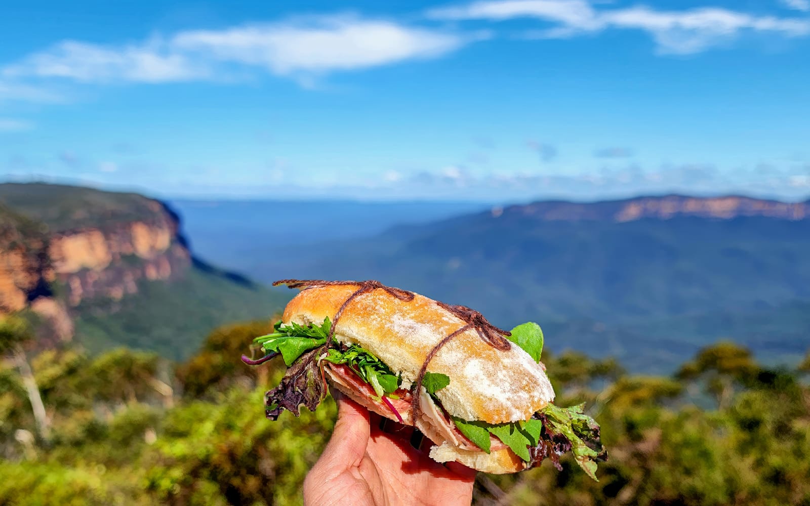 Blue Mountains Off the Beaten Path Guided Bushwalks, Secret Lookouts & BBQ Lunch tickets in Sydney - Highlights | TickYourList