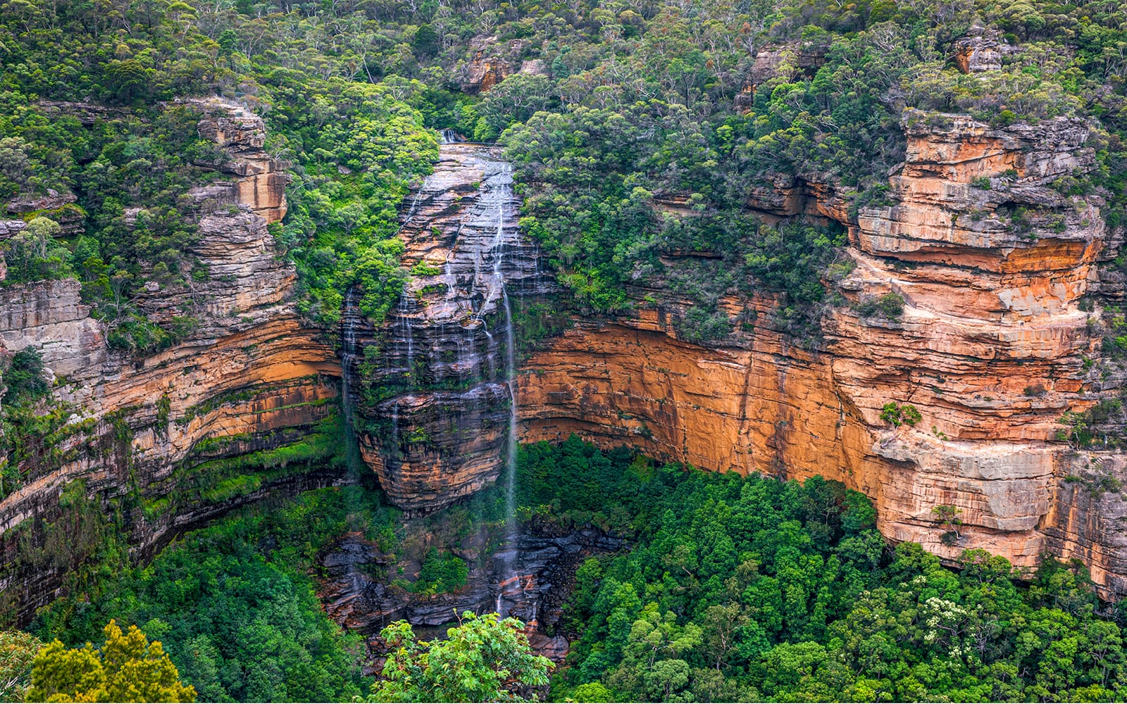 Blue Mountains Off the Beaten Path Guided Bushwalks, Secret Lookouts & BBQ Lunch tickets in Sydney - Features | TickYourList