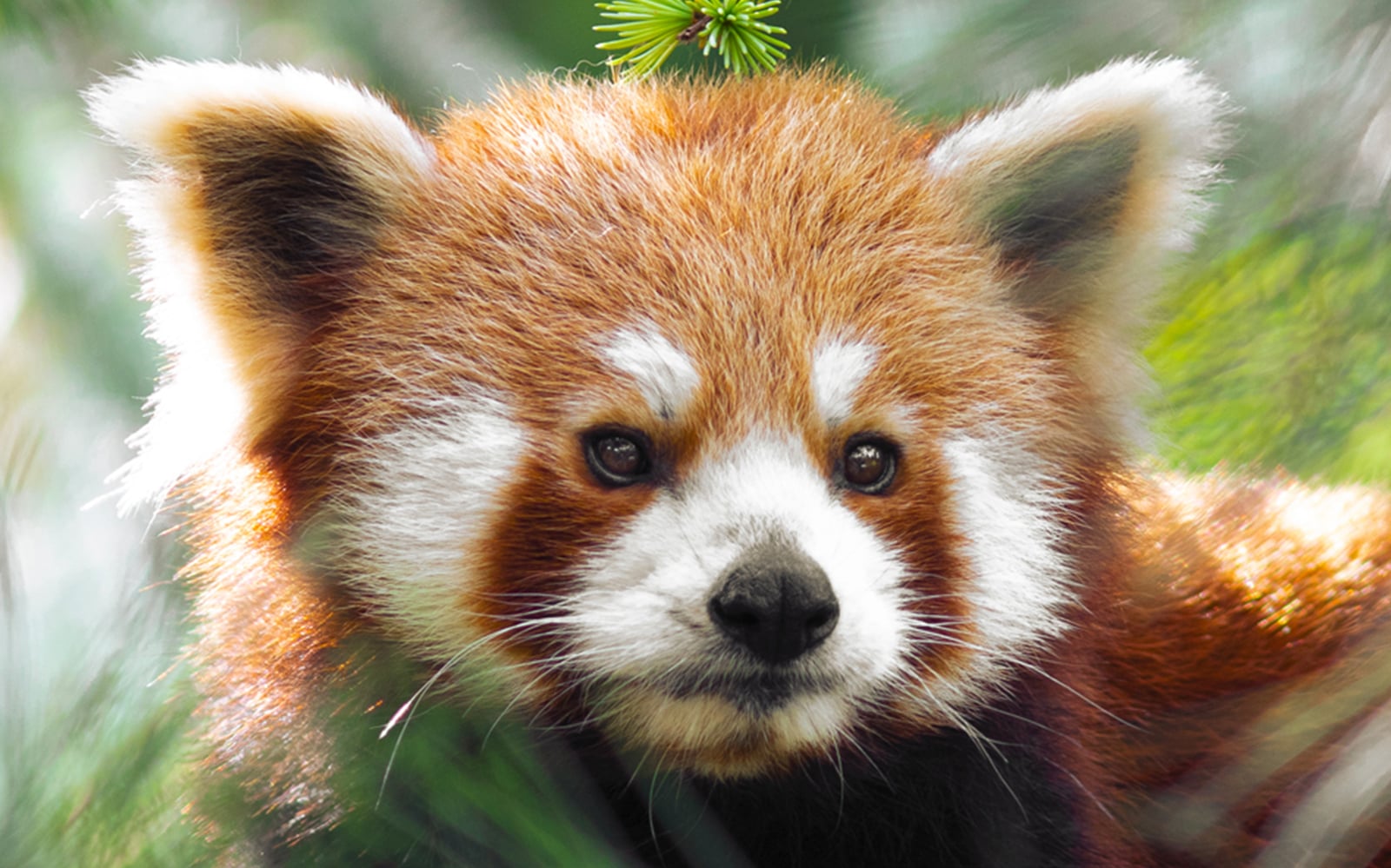 listing card gallery - Image 1 of 7