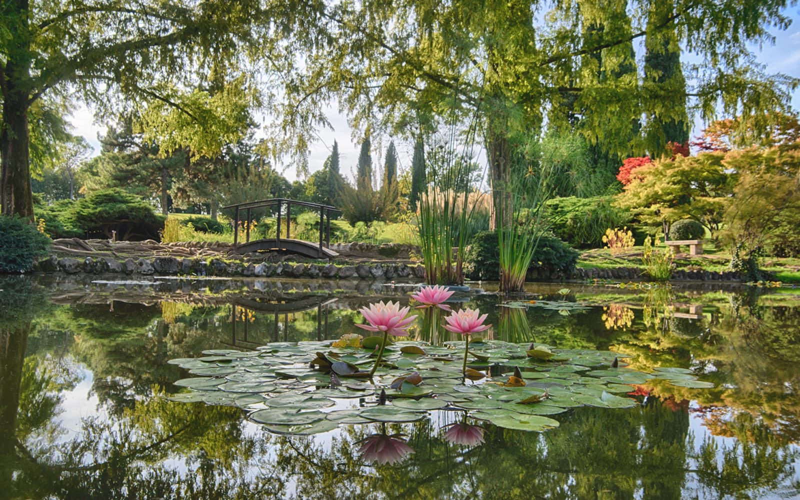 Combo: Parco Giardino Sigurtà + Verona Hop-On Hop-Off Bus Tour tickets in Verona - Activities | TickYourList