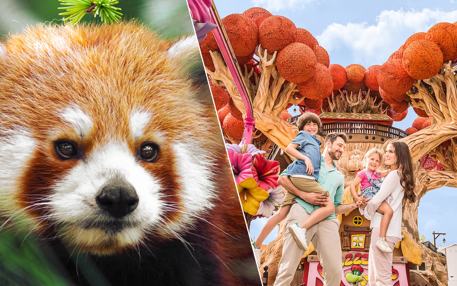 Combo: Gardaland Park + Parco Natura Viva Tickets