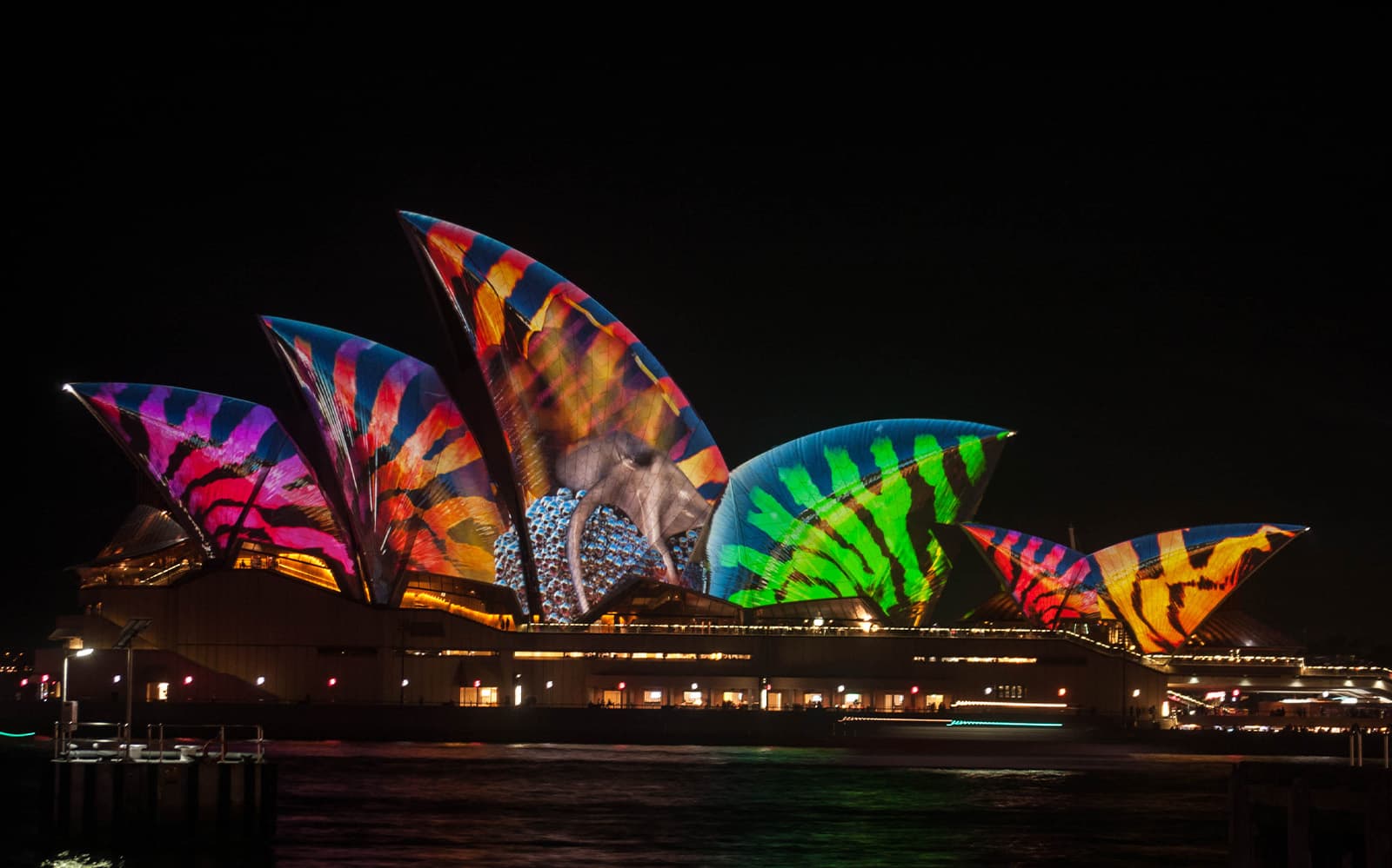 Vivid Sydney Glass Boat Dinner Cruise