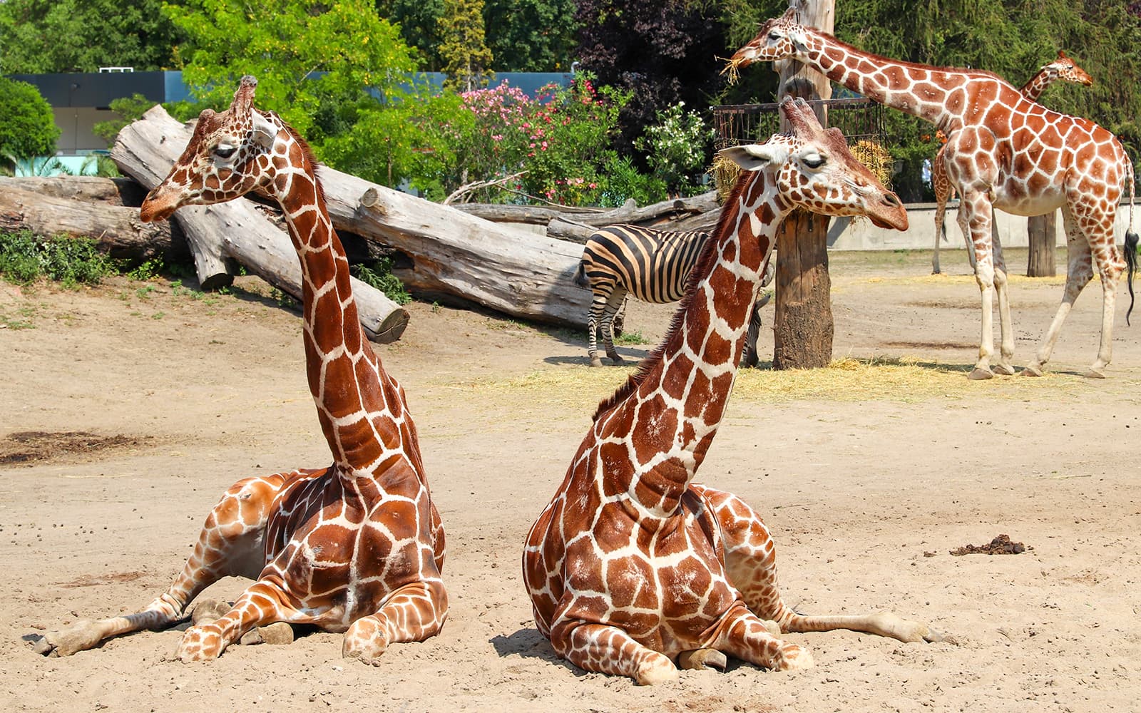 Wroclaw Zoo Skip-the-Line Tickets