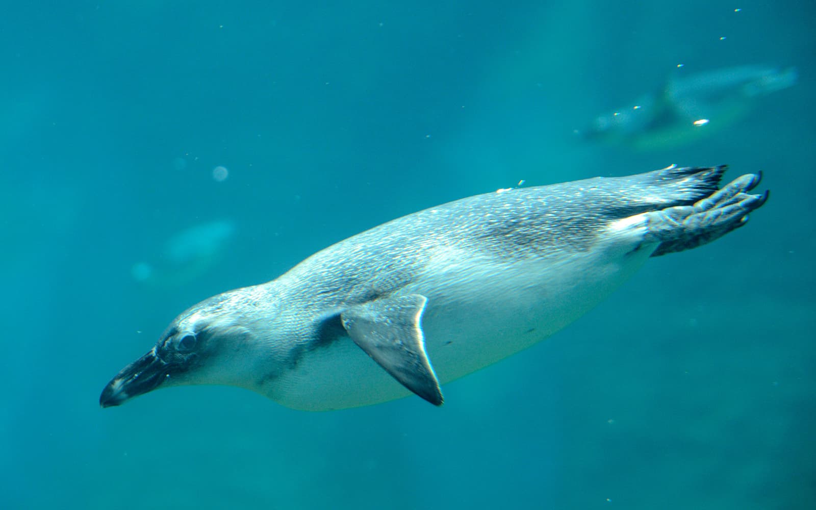 Wroclaw Zoo Skip-the-Line Tickets in Wroclaw - Activities | TickYourList