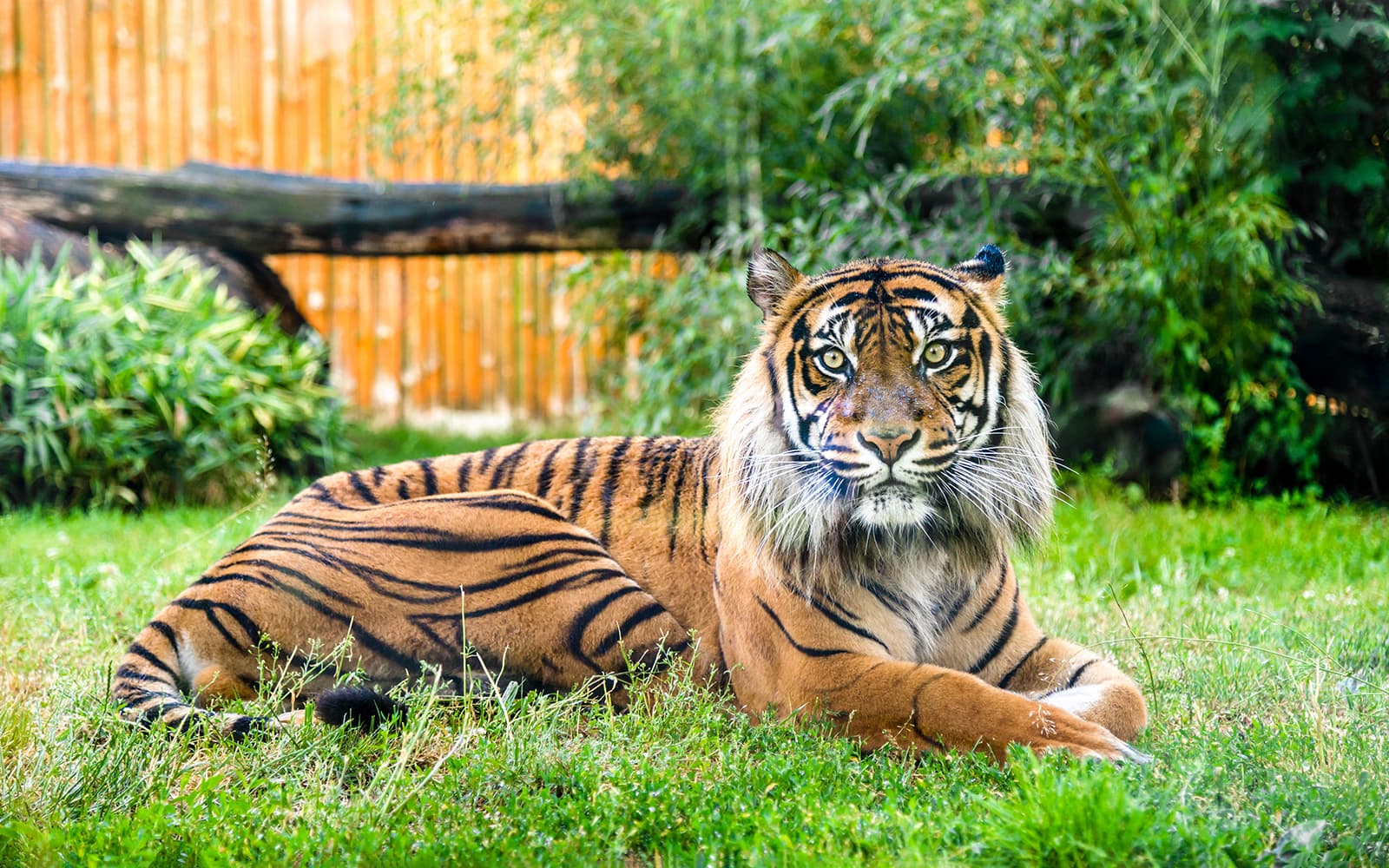 Wroclaw Zoo Skip-the-Line Tickets in Wroclaw - Highlights | TickYourList