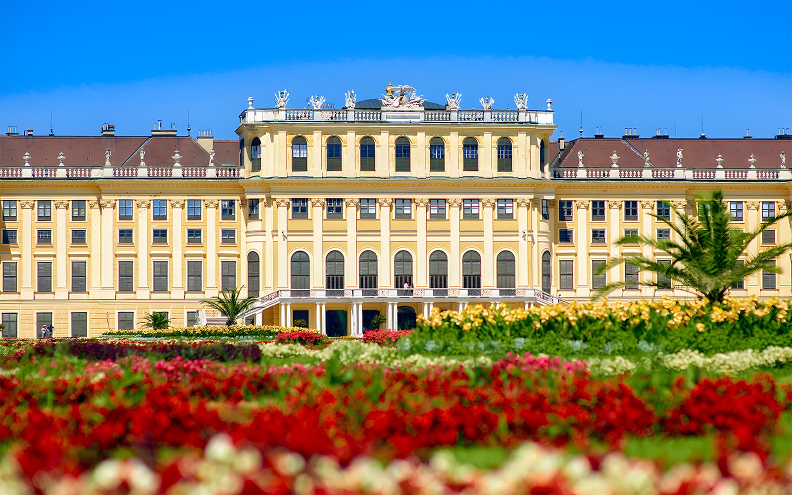 Schönbrunn Palace & Gardens Skip-the-Line Guided Tour