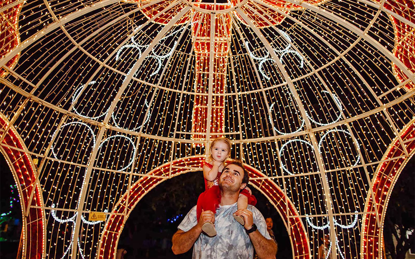 Hunter Valley Gardens - Christmas Lights Spectacular experience tickets in Sydney | TickYourList