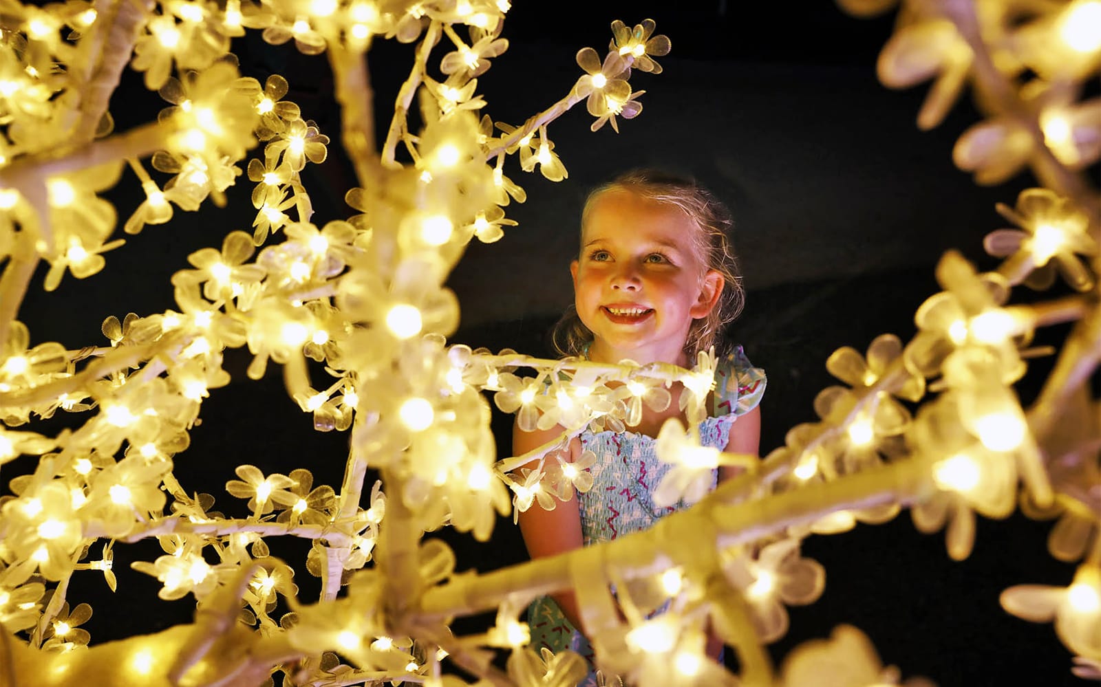 Hunter Valley Gardens - Christmas Lights Spectacular tickets in Sydney - Attractions | TickYourList