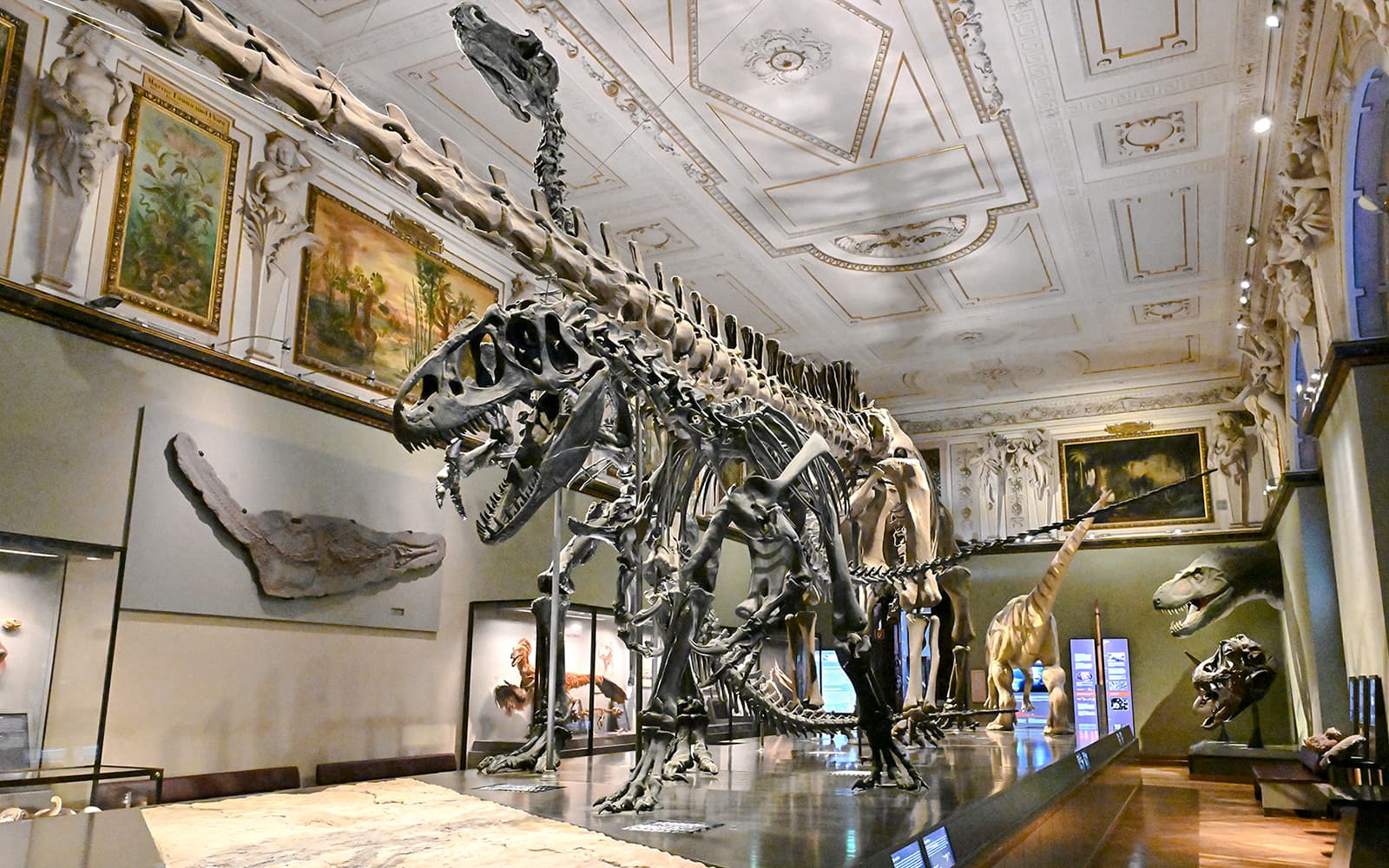 Natural History Museum Vienna Entry Tickets in Vienna - Activities | TickYourList