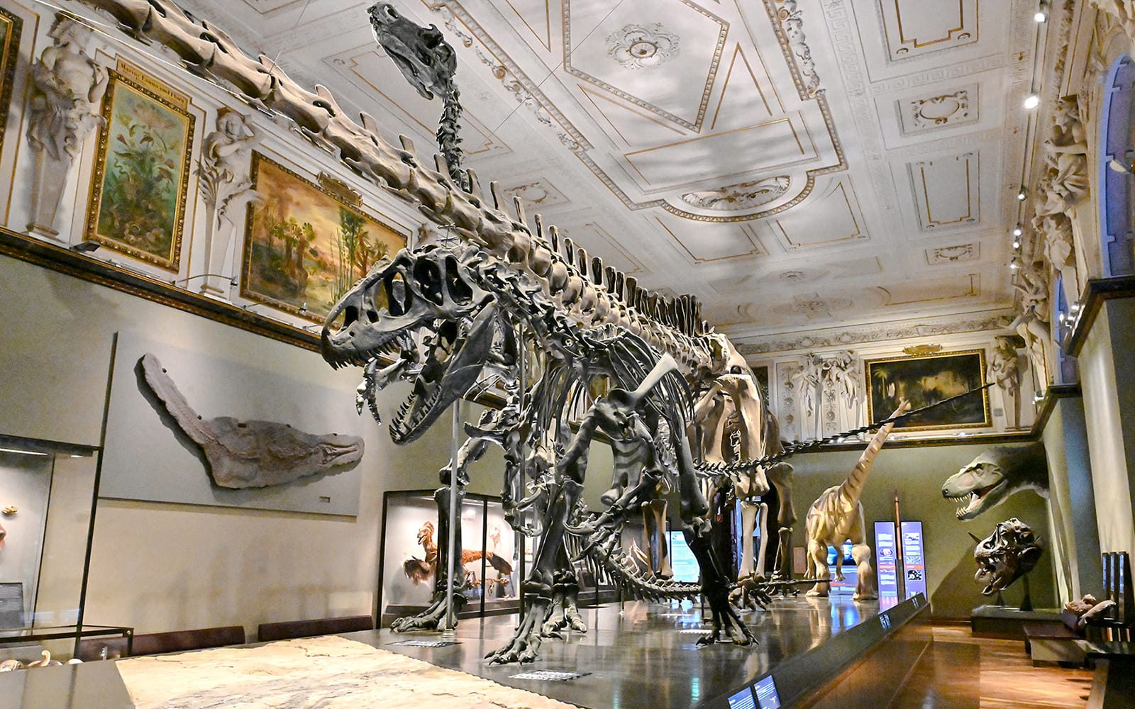 Natural History Museum Vienna Entry Tickets in Vienna - Activities | TickYourList