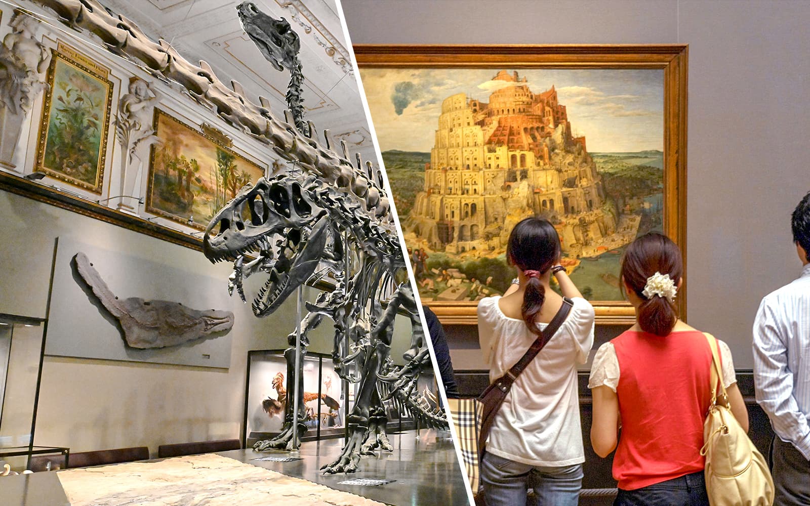 Combo (Save 5%): Natural History Museum + Kunsthistorisches Museum Admission Tickets