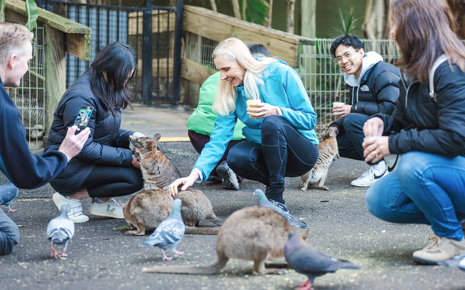 Blue Mountains Full-Day Guided Tour with Featherdale Wildlife Park tickets in Sydney - Activities | TickYourList