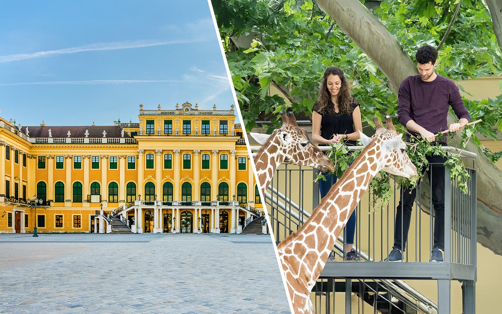 Combo (Save 6%): Schönbrunn Palace & Gardens Skip-the-Line Tour + Schönbrunn Zoo Skip-the-Line Tickets