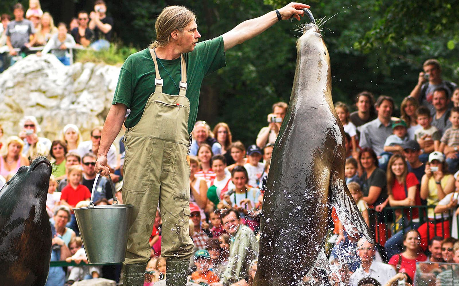 Combo (Save 6%): Schönbrunn Palace & Gardens Skip-the-Line Tour + Schönbrunn Zoo Skip-the-Line Tickets in Vienna - Features | TickYourList