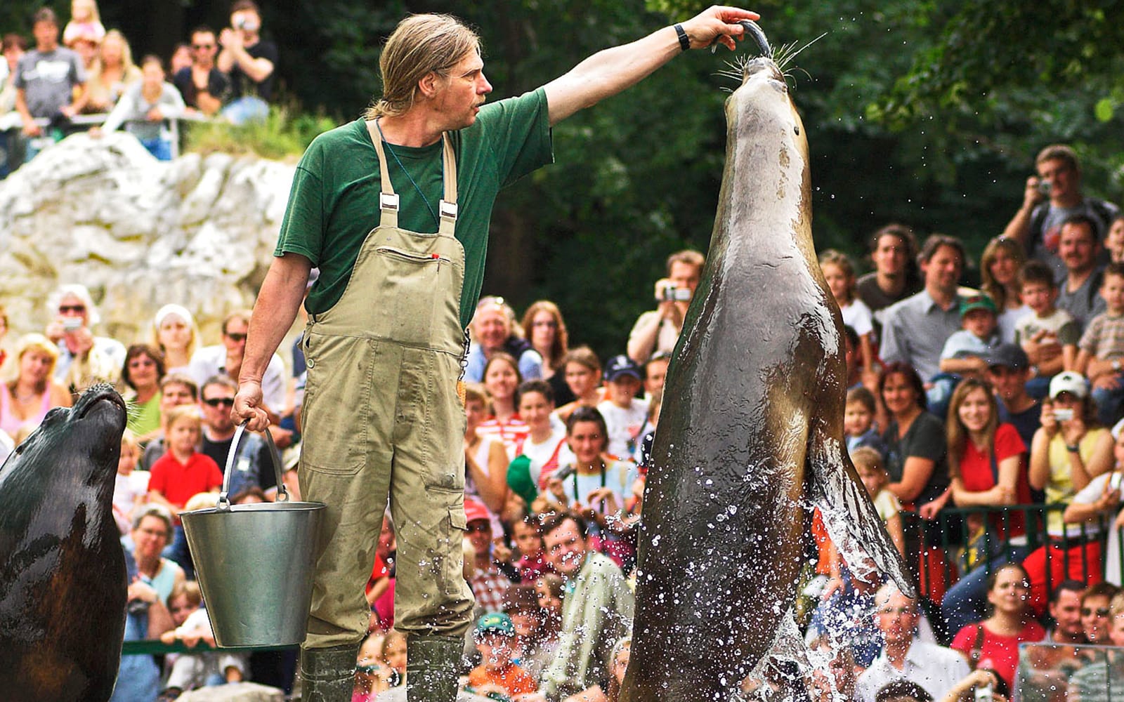 Combo (Save 6%): Schönbrunn Palace & Gardens Skip-the-Line Tour + Schönbrunn Zoo Skip-the-Line Tickets in Vienna - Features | TickYourList