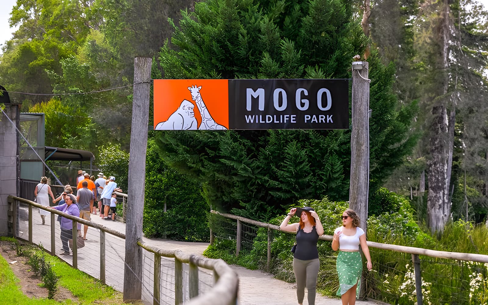 Tickets to Mogo Wildlife Park