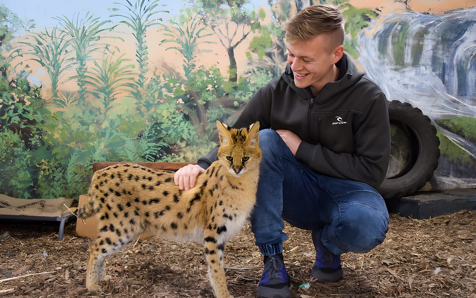 Tickets to Mogo Wildlife Park in Sydney - Attractions | TickYourList