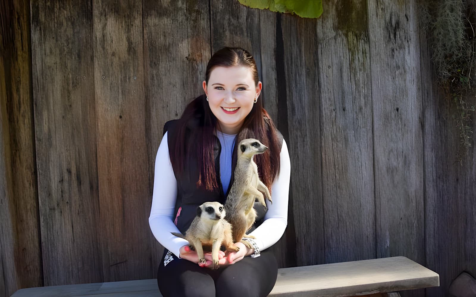 Tickets to Mogo Wildlife Park in Sydney - Features | TickYourList