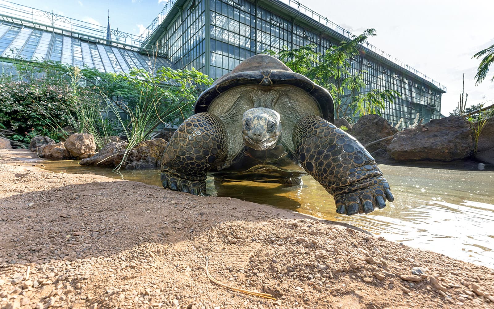 Desert House Skip-the-Line Ticket at Schönbrunn Zoo in Vienna - Highlights | TickYourList