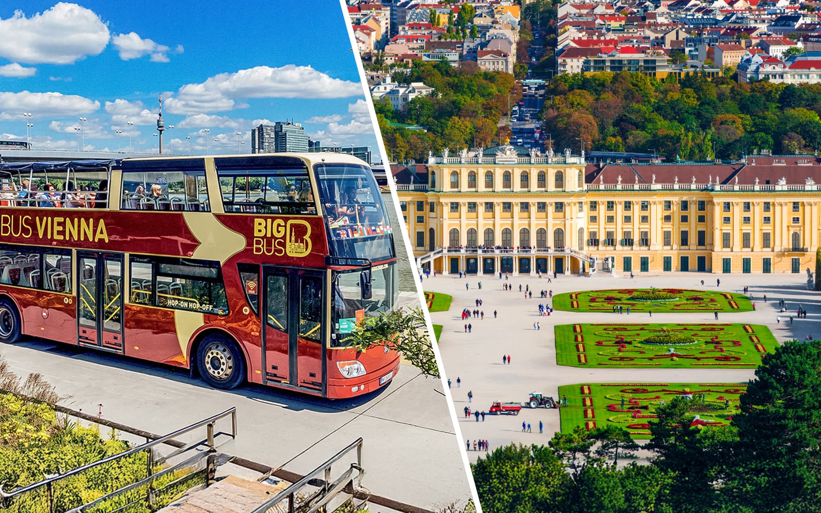 Combo: Vienna Hop-on Hop-off Bus Tour + Schönbrunn Palace & Belvedere Palace Tickets