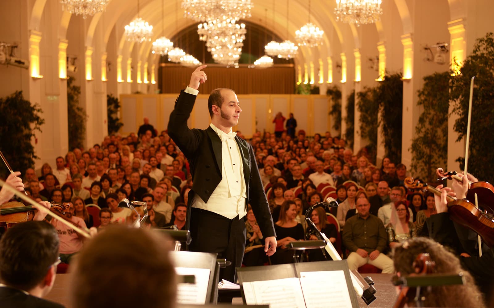 Schönbrunn Palace: Mozart & Strauss Concert with Tour & 3-Course Dinner
