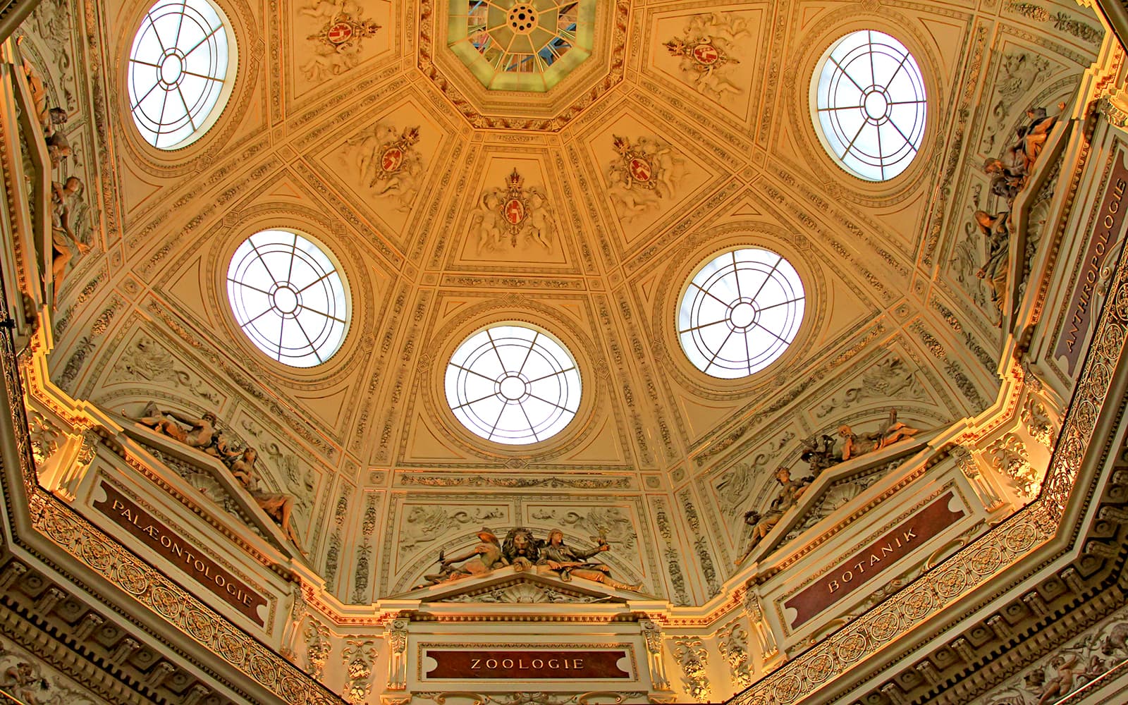 Natural History Museum Vienna Guided Tour with Roof Top Visit tickets in Vienna - Highlights | TickYourList