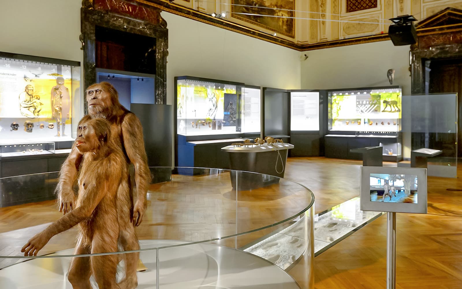 Natural History Museum Vienna Guided Tour with Roof Top Visit tickets in Vienna - Features | TickYourList