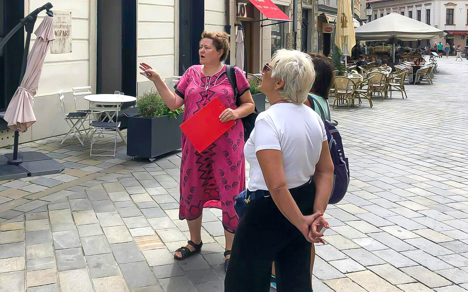 Bratislava Guided Walking Tour with Castle Entry