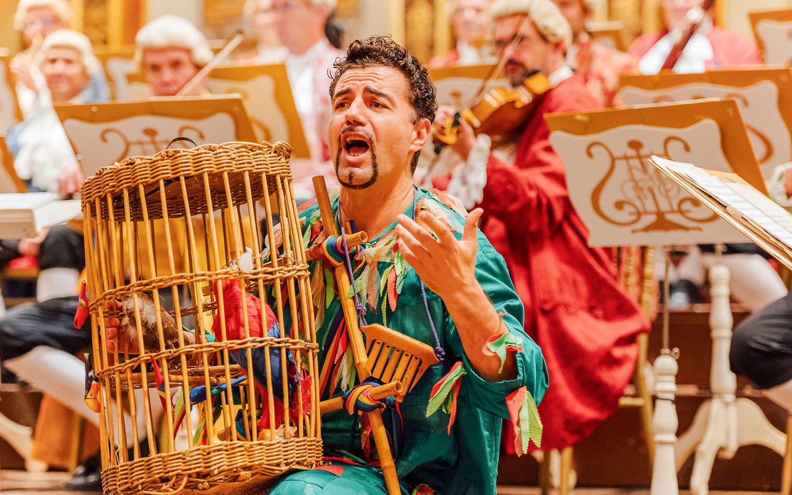 Music Society Vienna (Musikverein): Mozart Orchestra Concert & 3 Course Dinner tickets in Vienna - Features | TickYourList