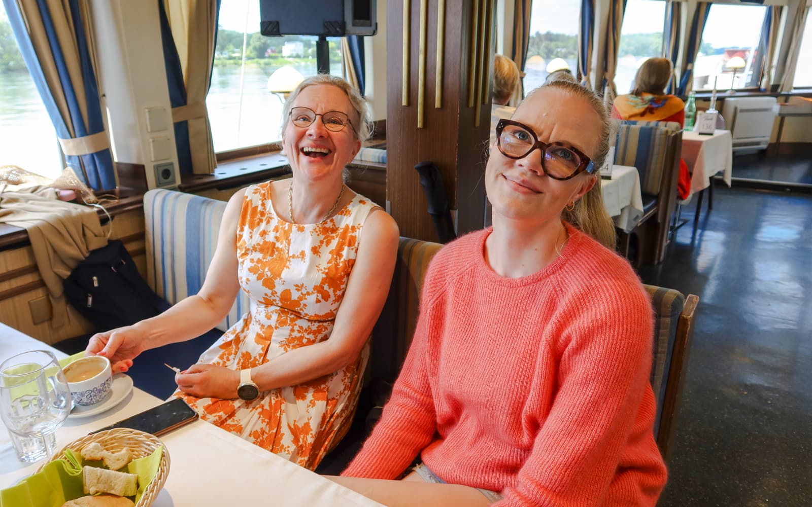 Sightseeing Cruise on the Danube River with Sunday Brunch and Live Music tickets in Vienna - Activities | TickYourList