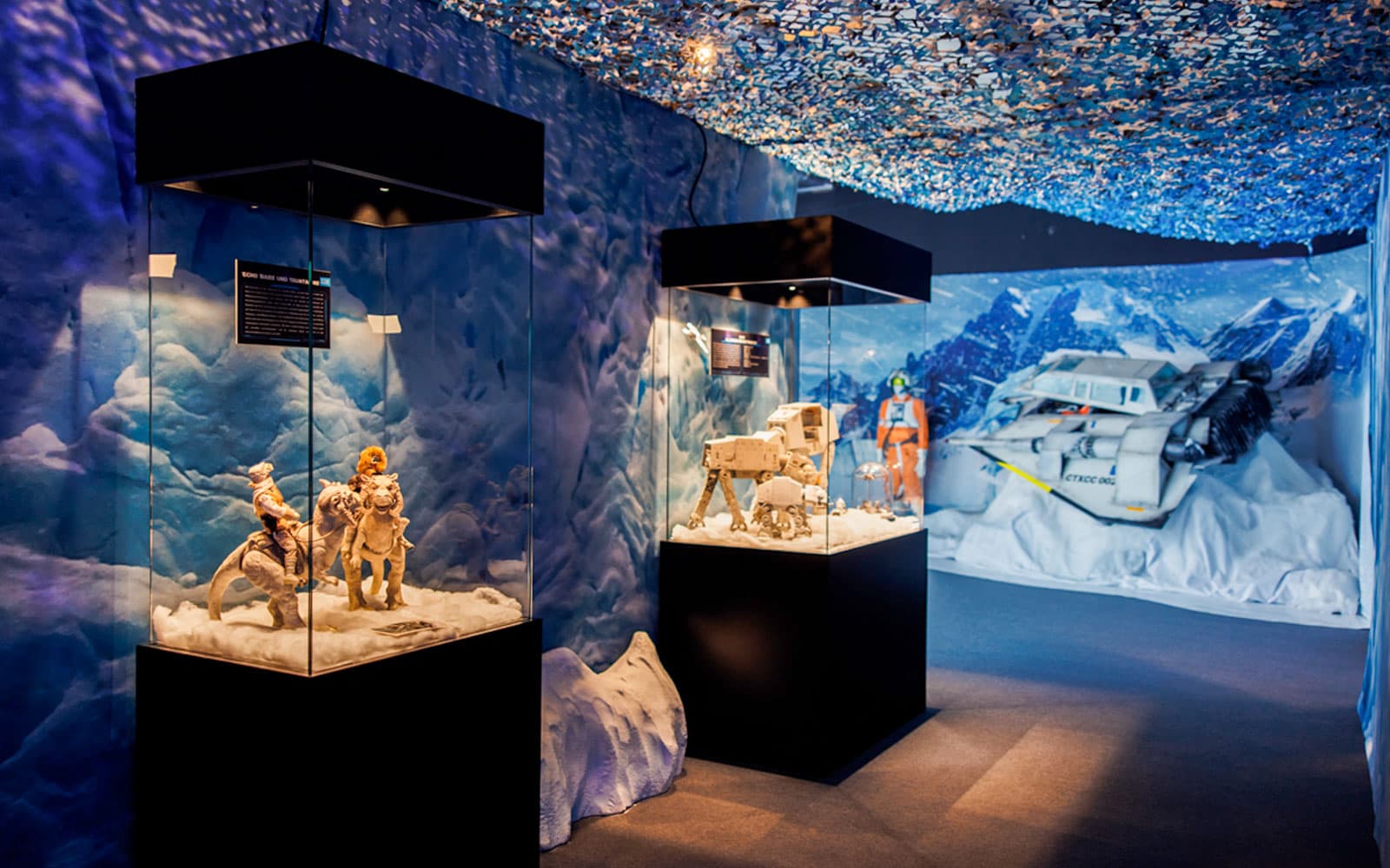 The Fans Strike Back Exhibition Tickets in Vienna - Highlights | TickYourList
