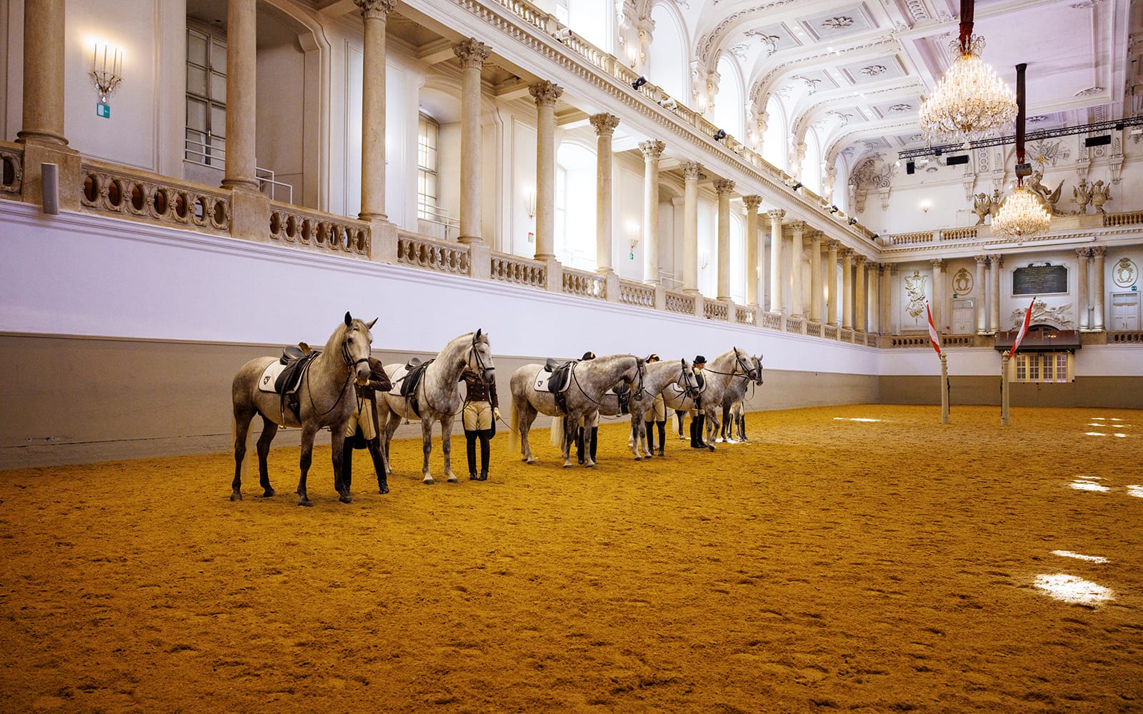 Combo: Vienna Spanish Riding School with Music + Upper Belvedere Palace Entry Tickets in Vienna - Activities | TickYourList