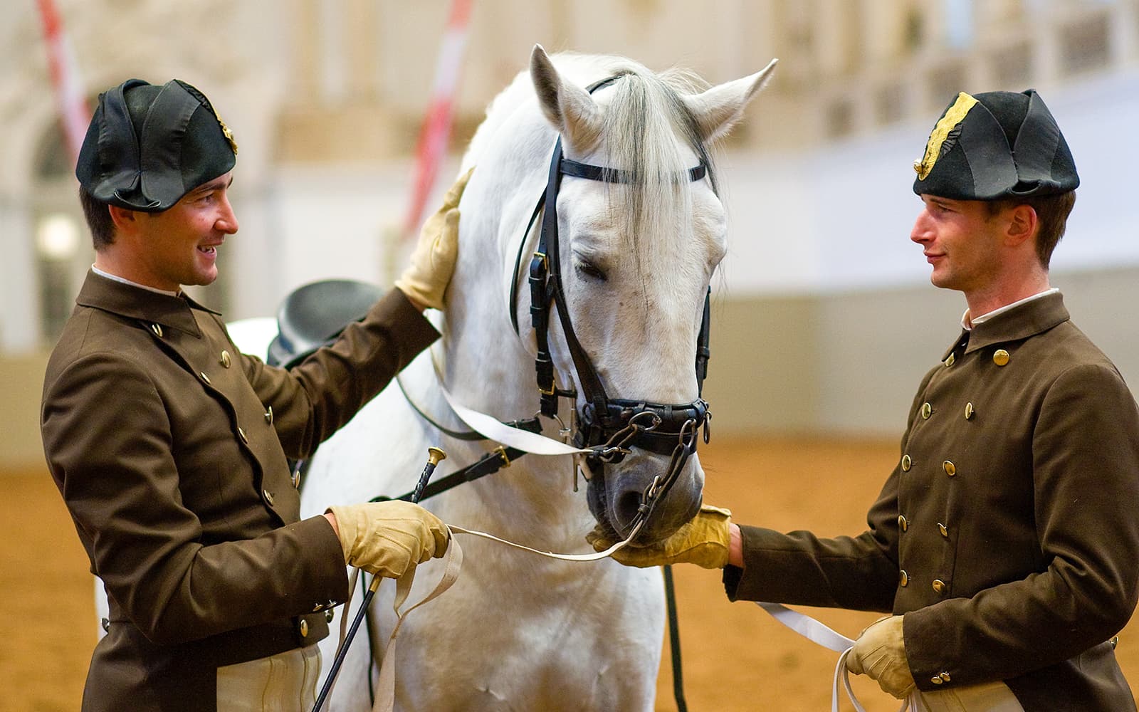 Vienna Spanish Riding School Training with Music Tickets