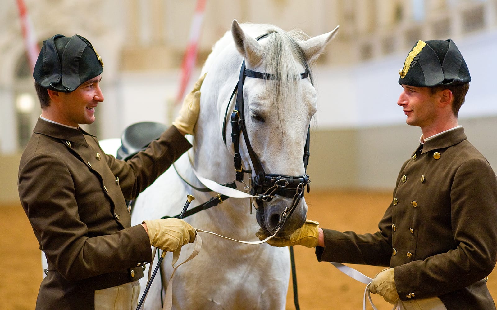 Vienna Spanish Riding School Training with Music Tickets