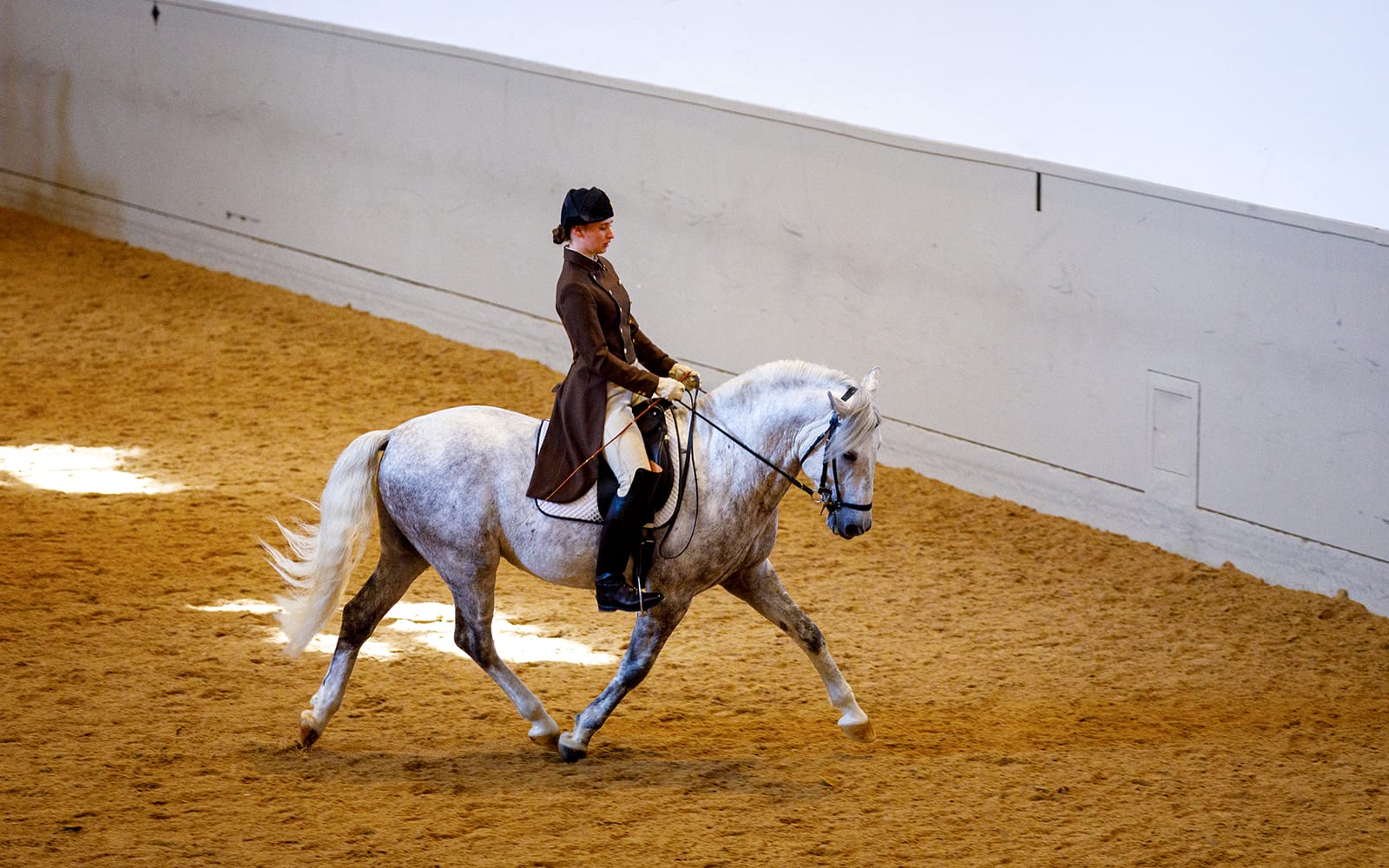 Vienna Spanish Riding School Training with Music Tickets in Vienna - Activities | TickYourList