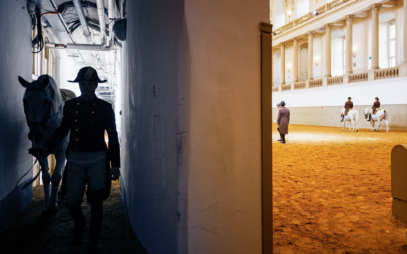 Vienna Spanish Riding School Training with Music Tickets in Vienna - Highlights | TickYourList