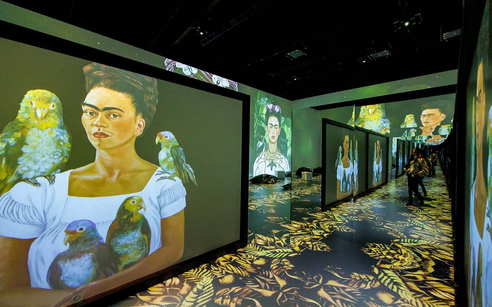 Tickets to Frida Kahlo Immersive Exhibition Experience in Vienna - Attractions | TickYourList