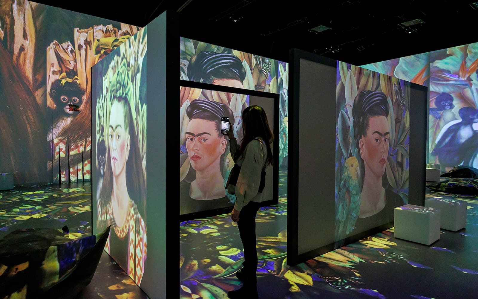 Tickets to Frida Kahlo Immersive Exhibition Experience in Vienna - Full Experience | TickYourList