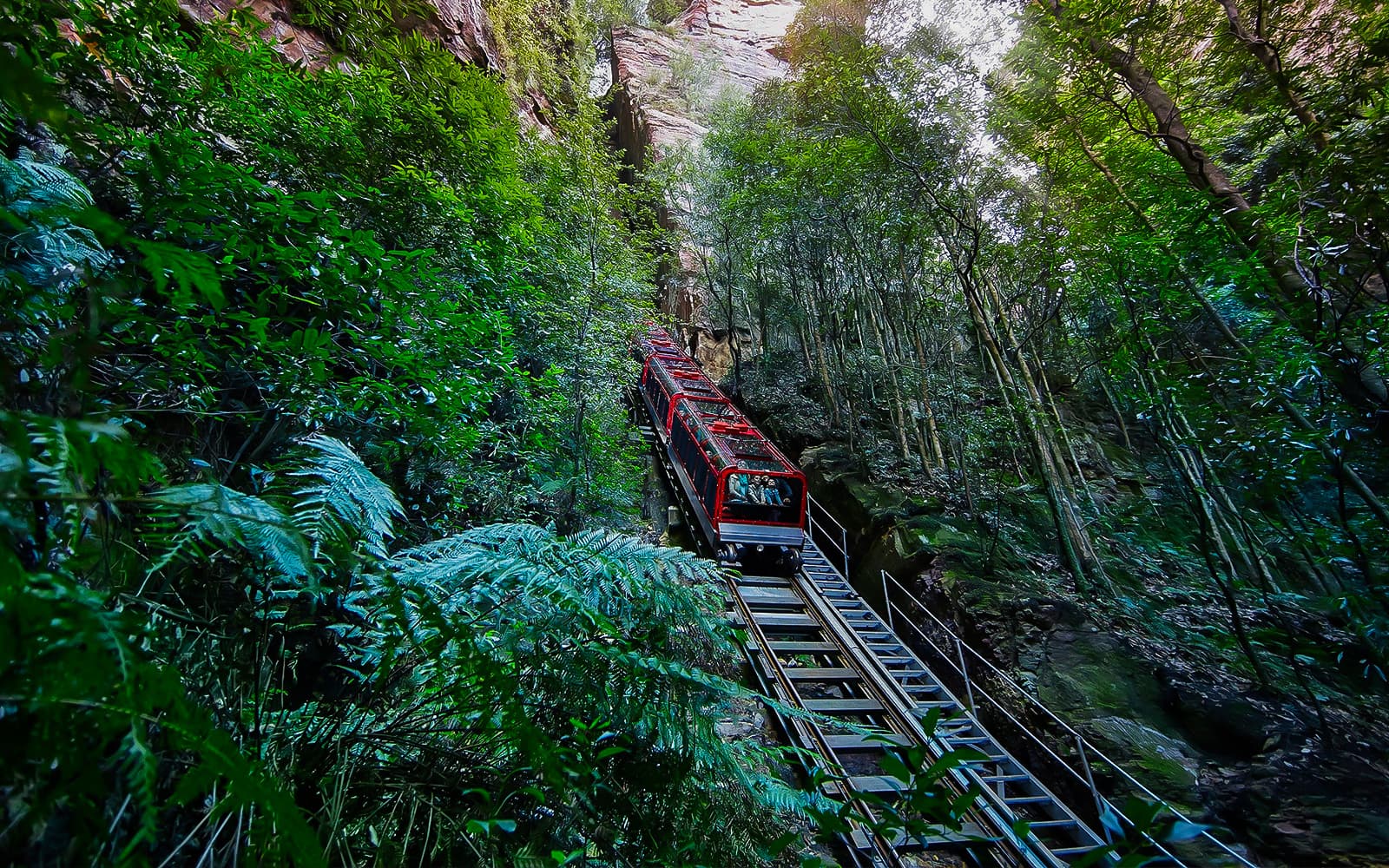 Guided Tour of Blue Mountains with Sydney Zoo Visit, Scenic World Stop & Lunch tickets in Sydney - Activities | TickYourList