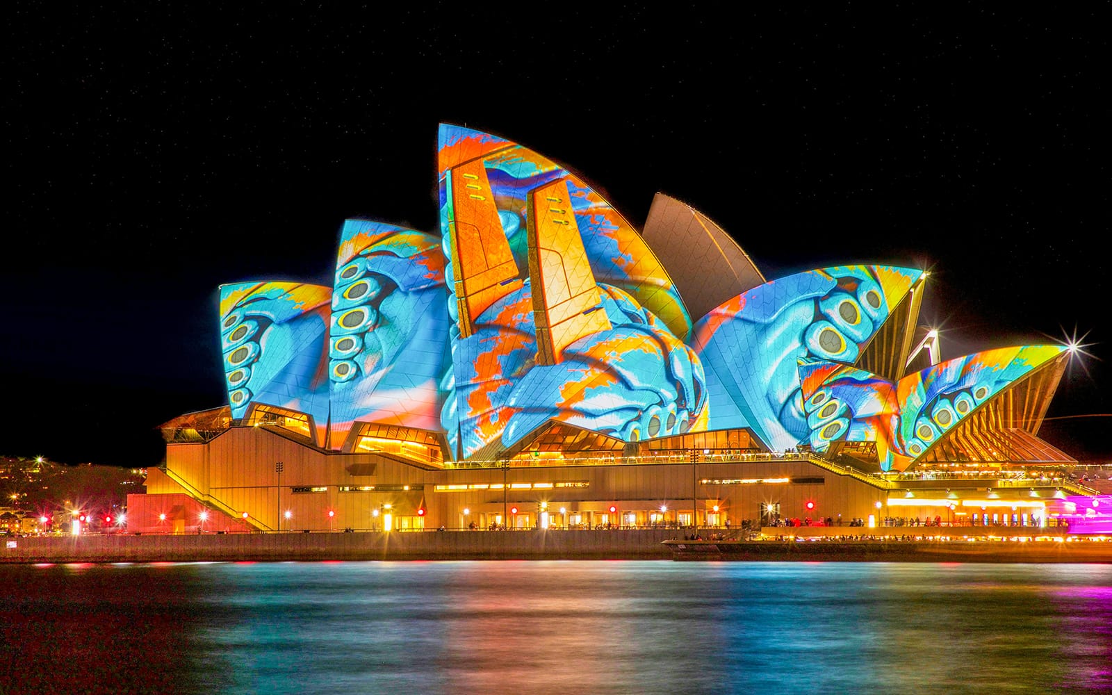 Vivid Sydney BYOB Catamaran Cruise tickets in Sydney - Highlights | TickYourList