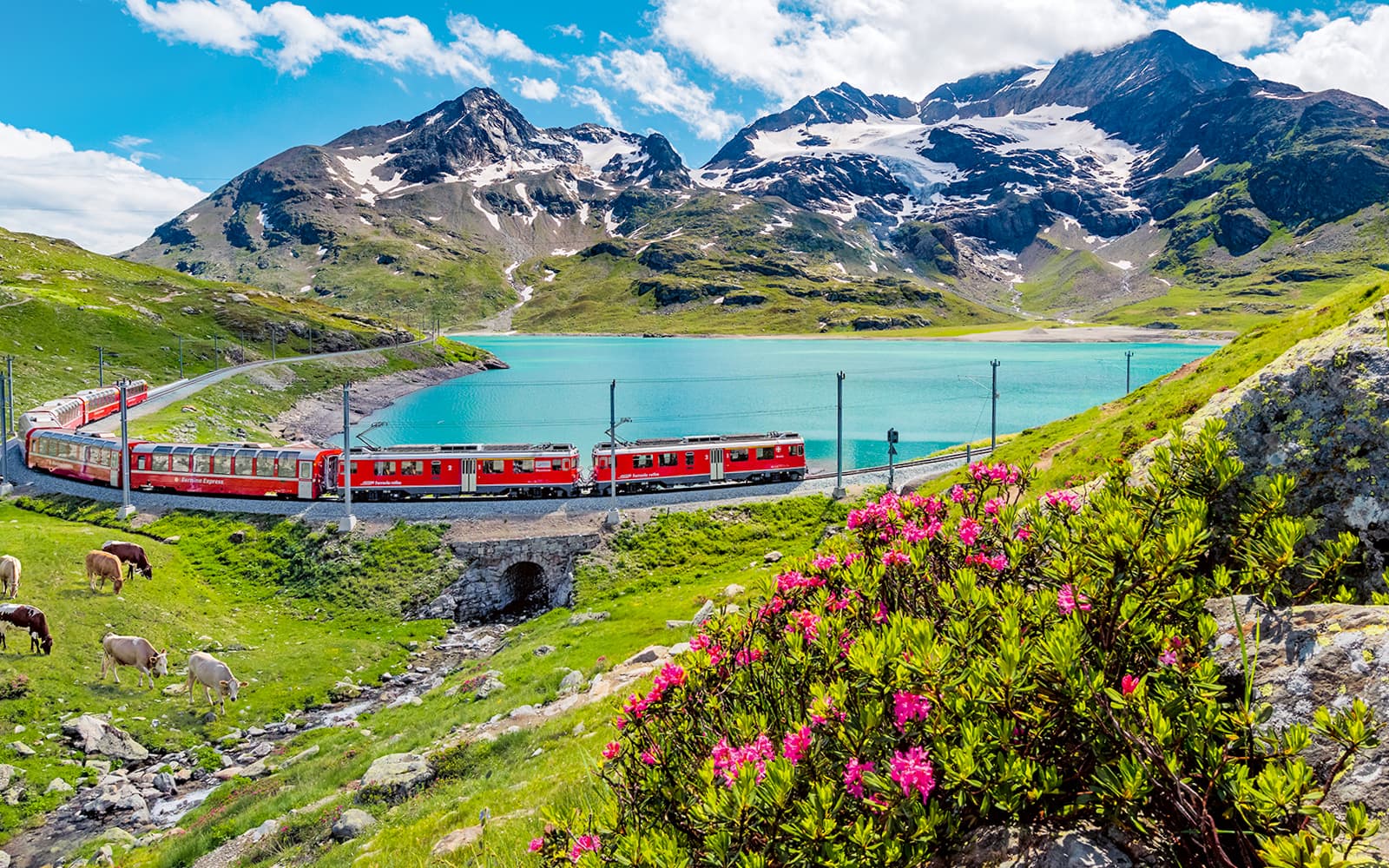 Glacier Express One Way Tickets: Zermatt to/from Chur in Zermatt - Activities | TickYourList