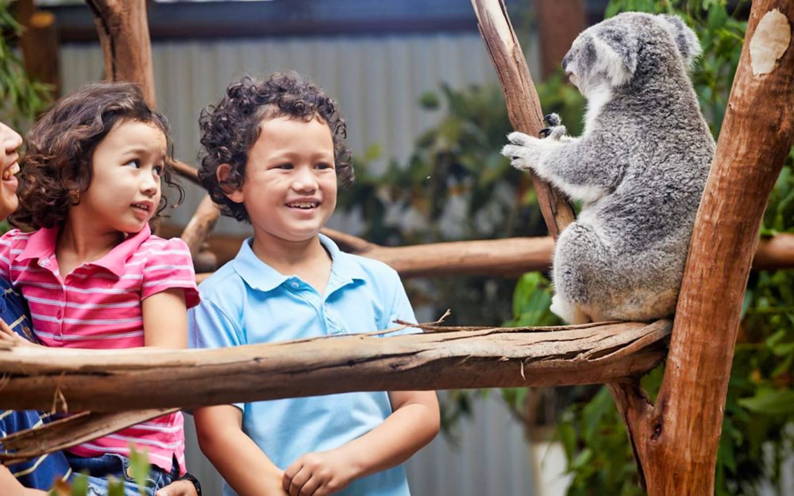 Oakvale Wildlife Park tickets in Sydney - Attractions | TickYourList